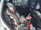 2020 Volkswagen Tiguan SEL Premium R-Line
